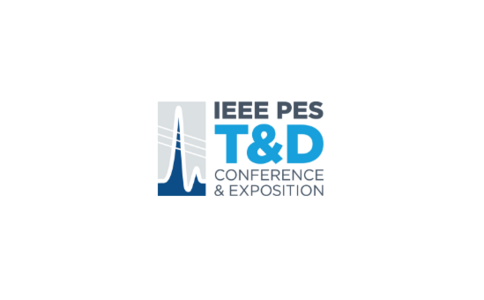 ��������������չ���� IEEE PES T